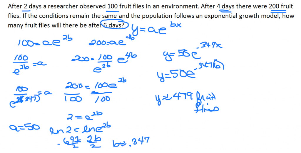 fruit fly example