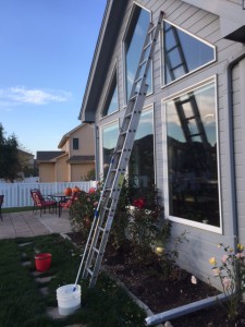 ladder leaning against house