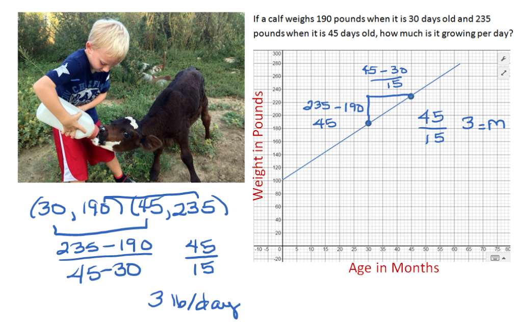 Calf growth written as ordered pairs