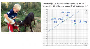 Calf Growth Rate