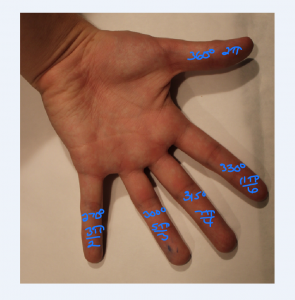 Left Palm Labeled