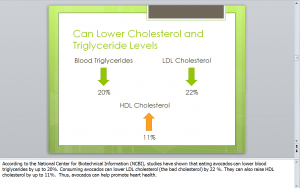 Avocado Effect on Cholesterol
