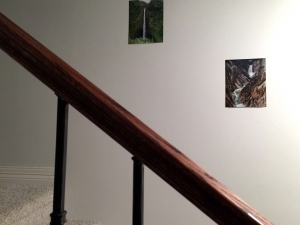 hanging pictures