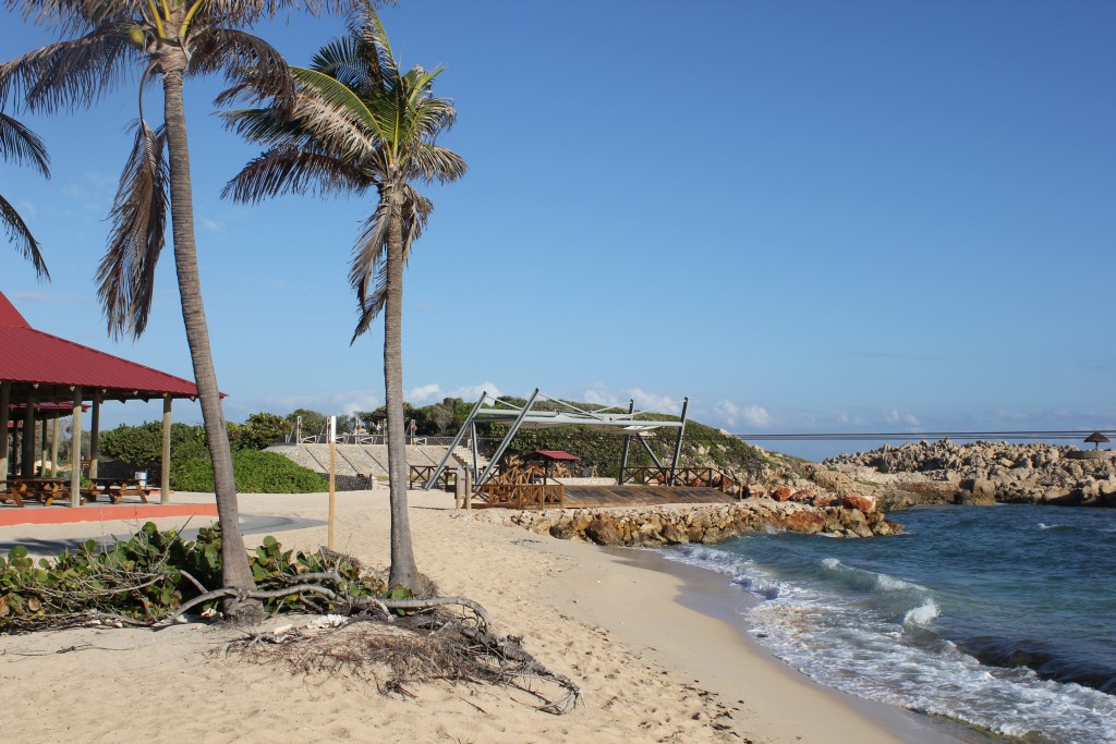 zip line landing 